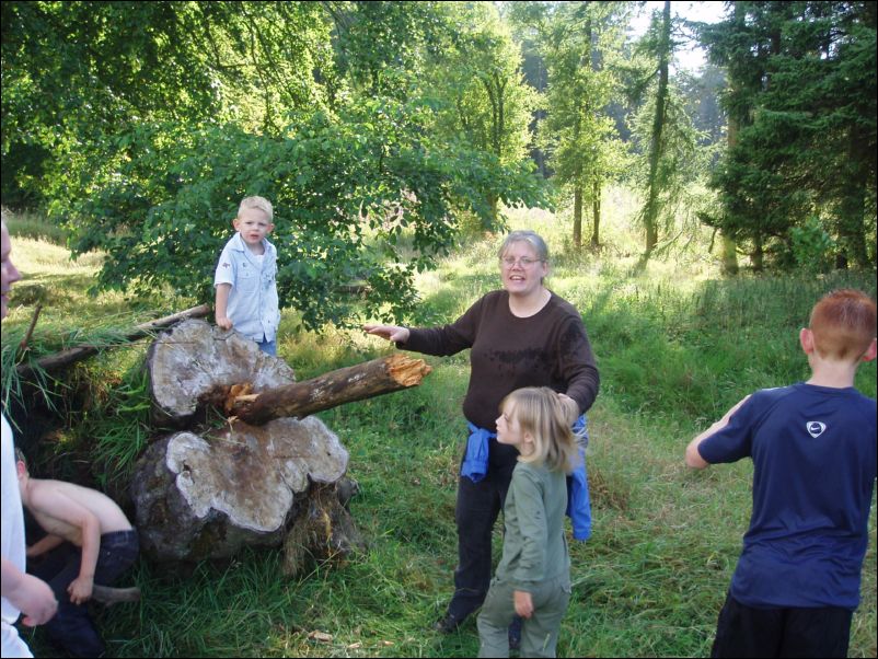 If I press down here hard enough Corry will fly